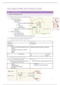 Anatomie en Fysiologie ZONDER gastro-intestinaal stelsel