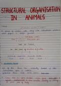 Structural Organisation in Animals &ndash; Class 11 Biology Handwritten Notes