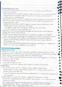 APUSH AMSCO 7&period;11-8&period;2 Notes summary and key terms