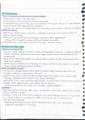 APUSH AMSCO 8&period;3-8&period;7 Notes summary and key terms