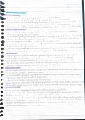 APUSH AMSCO 8&period;8-8&period;12 Notes summary and key terms