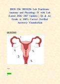 BIOS 256&sol; BIOS256 Lab Practicum&colon; Anatomy and Physiology IV with Lab &lpar;Latest 2026&sol; 2027 Update&rpar; &vert; Qs & As&vert; Grade A&vert; 100&percnt; Correct &lpar;Verified Answers&rpar;- Chamberlain