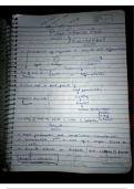 Plant hormone notes &NewLine;
