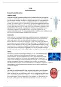 DISTINCTION level&comma; unit 8 part b&period; BTEC applied science 