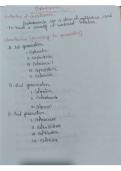 Pharmacology Lecture Notes on Cephalosporin Drugs