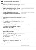 Medical Microbiology EXAM STUDY GUIDE 2026&sol;2027 ACCURATE QUESTIONS WITH CORRECT DETAILED SOLUTIONS &vert;&vert; 100&percnt; GUARANTEED PASS NEWEST VERSION