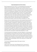 Brain Development and Toxic Stress 