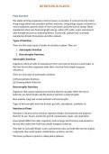 Nutrition in plants