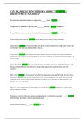 Document preview thumbnail