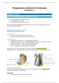 Toegepaste anatomie & fysiologie &vert; Logopedie &vert; Arteveldehogeschool &vert; 2025&sol;26