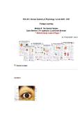BIOL251 Human Anatomy & Physiology I w&sol;Lab 2026 &vert; Module 8 Exam &NewLine;Review &vert;70&plus; Questions and Answers Summary &vert;LockDown Browser &NewLine;&vert;Portage Learning