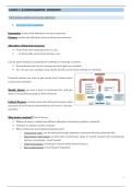 Samenvatting Bank Management I 2025-2026