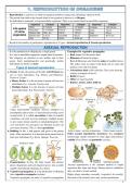 NCERT Biology&comma; Class 12 Biology&comma; Biology Notes&comma; NCERT Notes&comma; CBSE Biology&comma; CBSE Class 12&comma; NEET Biology&comma; NEET Notes&comma; Medical Entrance Exam&comma; Board Exam Preparation&comma; Biology Revision&comma; Handwritten Notes&comma; Study Notes&comma; Exam Notes&comma; Quick Revision&comma; Biology Chapte