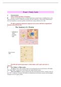 SHS 485 Final Exam Study Guide &vert; Questions and Answers &vert; 2026 Update with complete solutions - ASU&period;