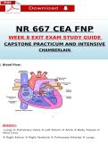 NR 667 CEA FNP Week 8 Exit Exam &ndash; Capstone Practicum and Intensive Chamberlain Study Guide Latest PDF