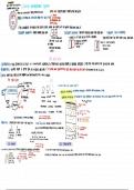 AP Environmental Science &lpar;APES&rpar; Study Guide &ndash; 5-Page Visual Review Notes