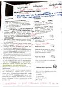 For Class 12 and Neet student  Deep notes of  Human Reproduction &lpar;Biology&rpar;