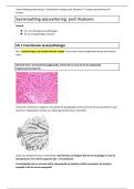 Samenvatting spijsvertering THEORIE LEVERPATHOLOGIE PROF&period; DR&period; ROSKAMS 1ste master &lpar;3de bachelor nieuw curriculum&rpar; geneeskunde KU Leuven 2026
