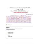 BIOL251 Human Anatomy & Physiology I w&sol;Lab 2026 &vert; Module 5 Exam Review&colon; &NewLine;Comprehensive 150-Question Mastery Assessment Covering Skeletal Muscle Tissue&comma; &NewLine;Neuromuscular Physiology&comma; Muscle Contraction Mechanisms&comma; Energy Metabolism&comma; and Clinical &NewLine;Applicati
