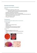 Bacteriologie en mycologie &vert; Bijzondere bacteriologie &vert; UGent &vert; 2025&sol;26