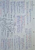 Summary of chapter 9 Transport in animals IGCSE Biology 