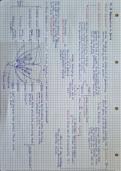 Summary of chapter 14 Reproduction in Plants IGCSE Biology 