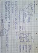 Summary of chapter 15 Reproduction in humans IGCSE Biology 