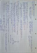 Summary of chapter 16 Chromosomes&comma; genes and proteins IGCSE Biology 