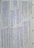 Summary of chapter 19 Human influnce on ecosystems IGCSE Biology 