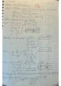 Functions - full guide intro to analysis and calculus