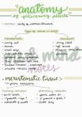 Anatomy of angiosperms