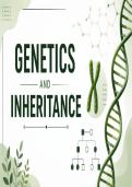 GENETICS & INHERITANCE simplified- Complete Exam Pack&comma; Diagrams &lpar;A-Level &sol; IB Biology Revision Notes&rpar;