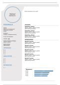 Curriculum Vitae Template &vert; 2026&sol;2027