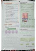 Biology in heart