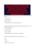 CH 1-3 ANATOMY & PHYSIOLOGY&NewLine;OPENSTAX REVIEW QUESTIONS&NewLine;&lpar;2026&sol;2027&rpar; UPDATE&vert;EXAM&NewLine;QUESTIONS WITH MULTIPLE&NewLine;CHOICES &vert;VERIFIED & REVISED&NewLine;ANSWERS &lpar;NEW&rpar;&excl;&excl;&excl;