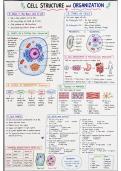 Cell Structure and Organization &ndash; Class 10 Biology Notes