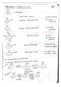 These organic chemistry notes are clear well organized and easy to understand&period;organic reactions&comma; equation&comma; examples&period; NCERT chemistry exam preparation complete cbse 12th class organic chemistry notes are covering&comma; important concepts&comma; reactions&comma; mechanism n