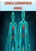Control and coordination in human beings 