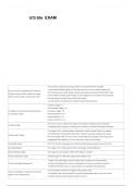 ILTS 206 Exam Prep &vert; Practice Test&comma; Questions & Comprehensive Certification Review