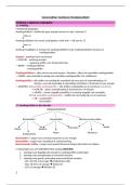 Samenvatting&colon; Voeding en mondgezondheid 