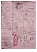 Short notes NCERT Class 11 Biology  Neet chapter 16 EXCRETORY PRODUCTS AND ITS ELIMINATION 
