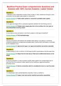 Backflow Final comprehensive Questions and Answers&NewLine;with 100&percnt; Correct Answers &vert; Latest Version