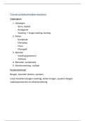 Latest Preview Thumbnail