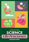 Class 10 Science Chapter 1&comma; Metals and Non-Metals&NewLine;