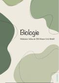 Molekularer Aufbau der DNA &lpar;Watson-Crick-Modell&rpar;