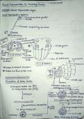 Magnetic properties of matter&NewLine;