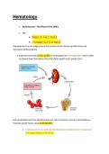 NSG 3850 Patho 2 Exam 1&colon; Key Concepts in Hematology and Anemia