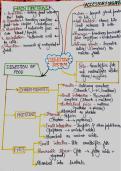 Digestive system of humans&period; &NewLine;