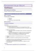 VOLLEDIGE samenvatting  Grondwettelijk Recht - Sottiaux & Bherendt -KU Leuven - 2025&sol;26 - geslaagd&excl;