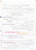 aprender a pensar 